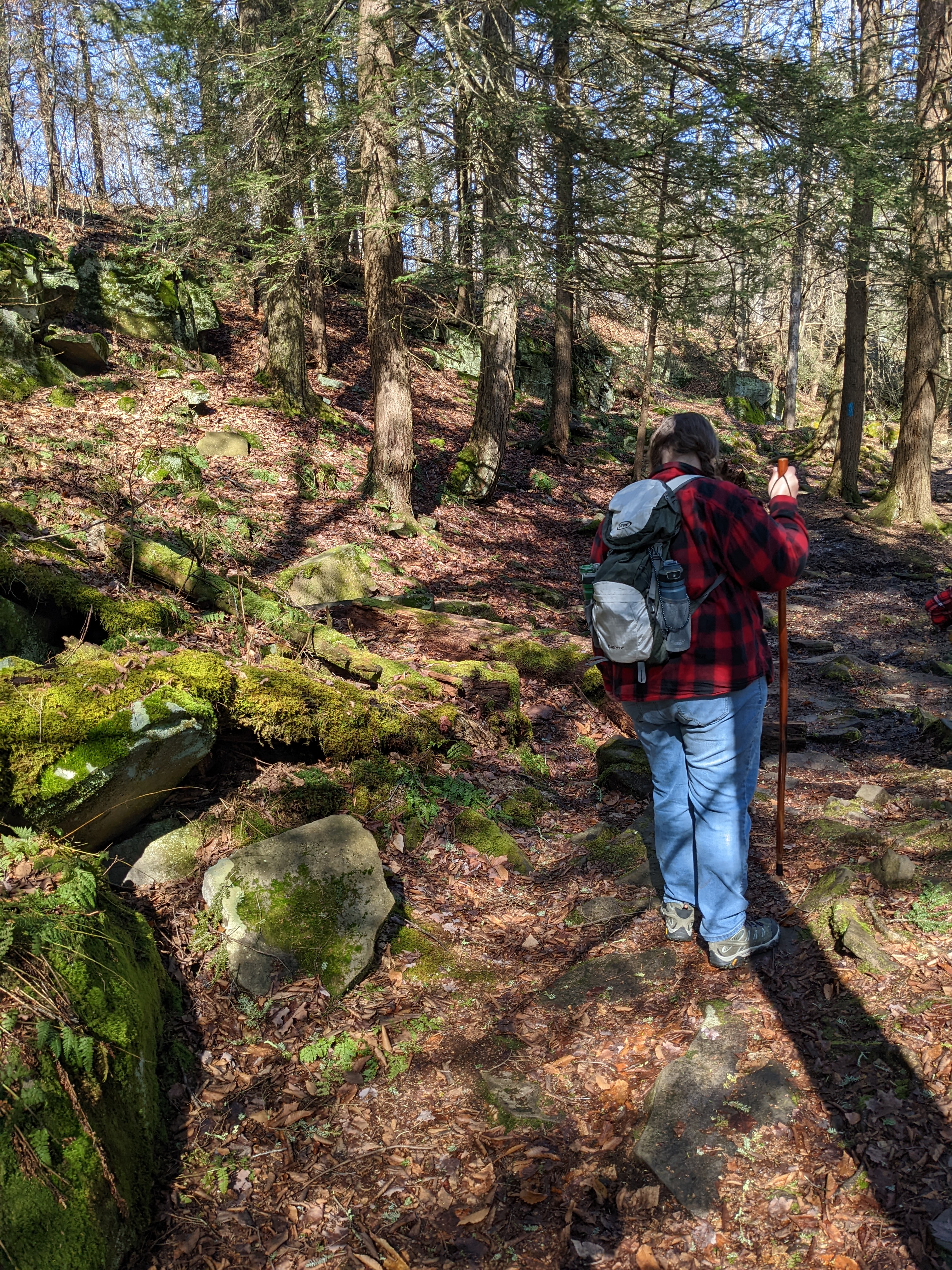 Hiking