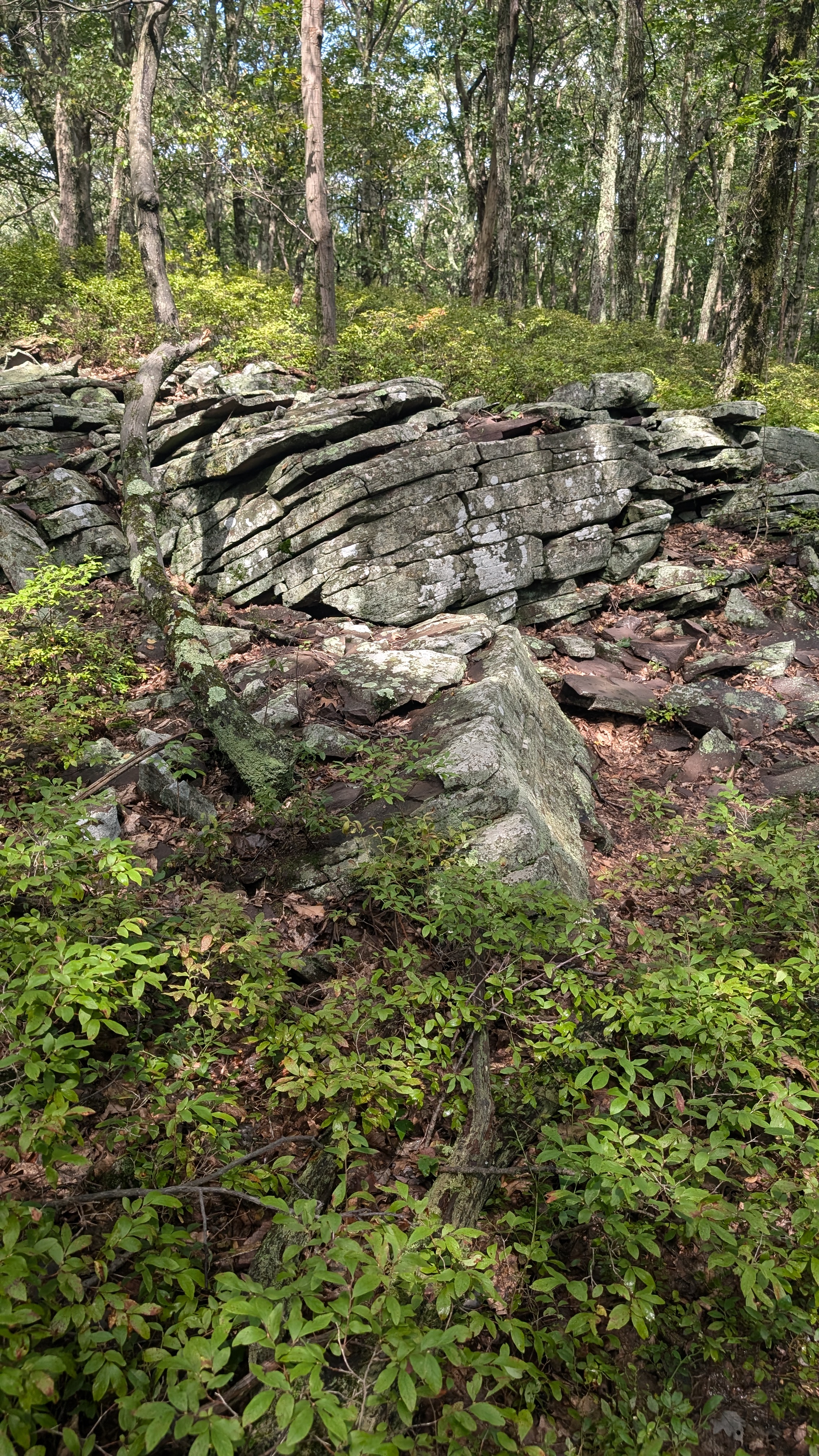 Indian Trail - Rock Formations