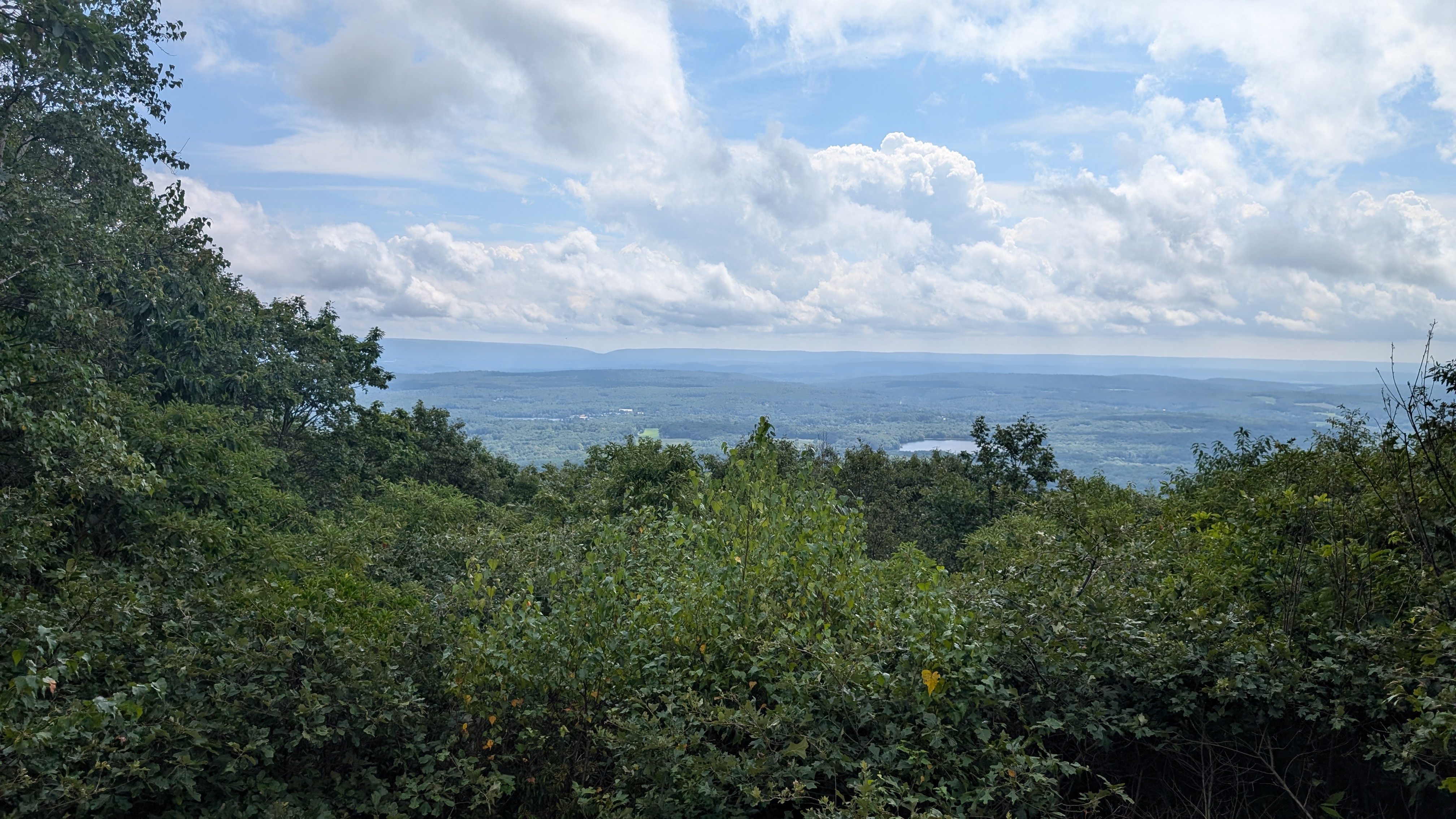 Vista along South Trail