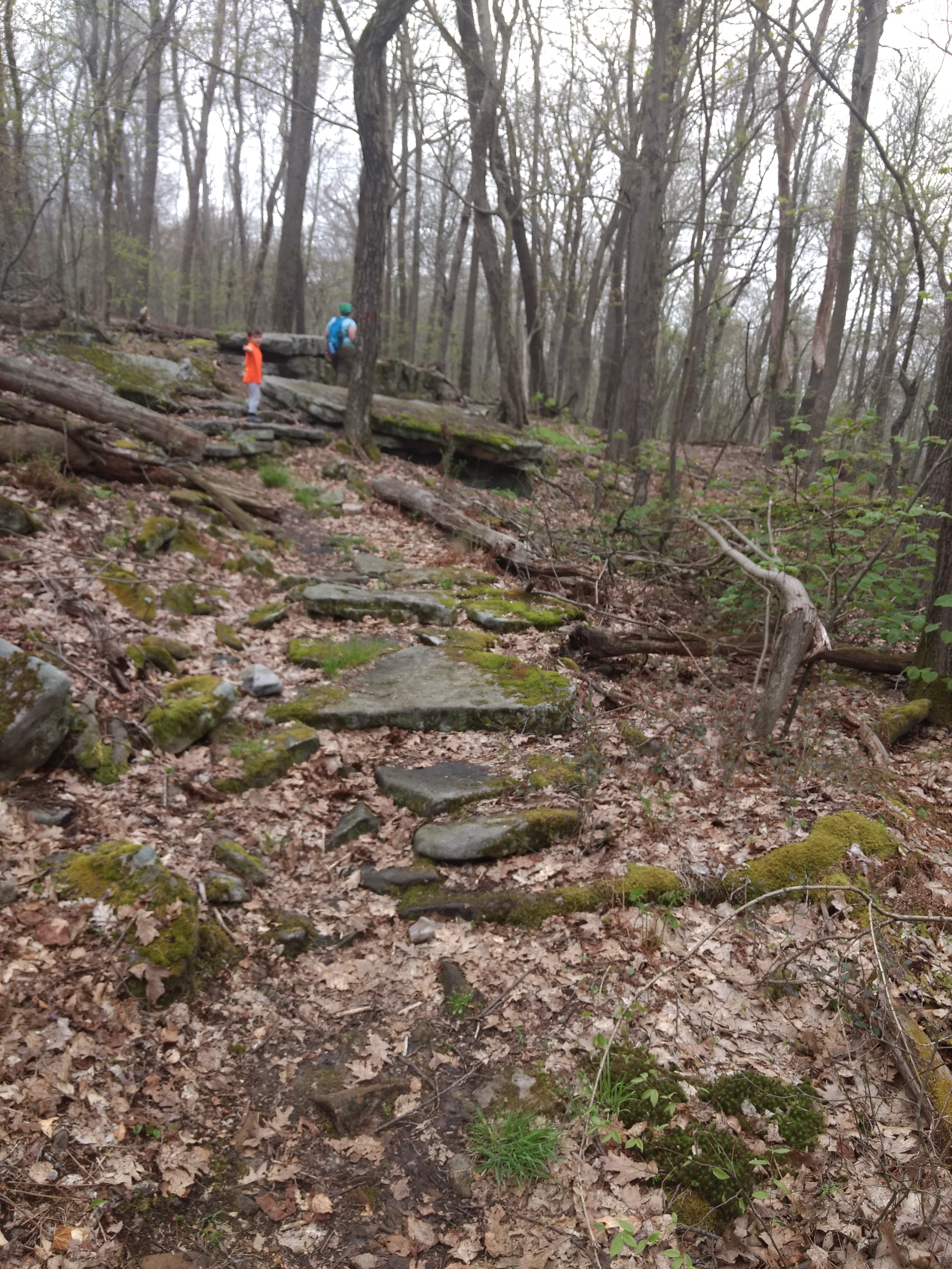 Pavia Lookout Loop