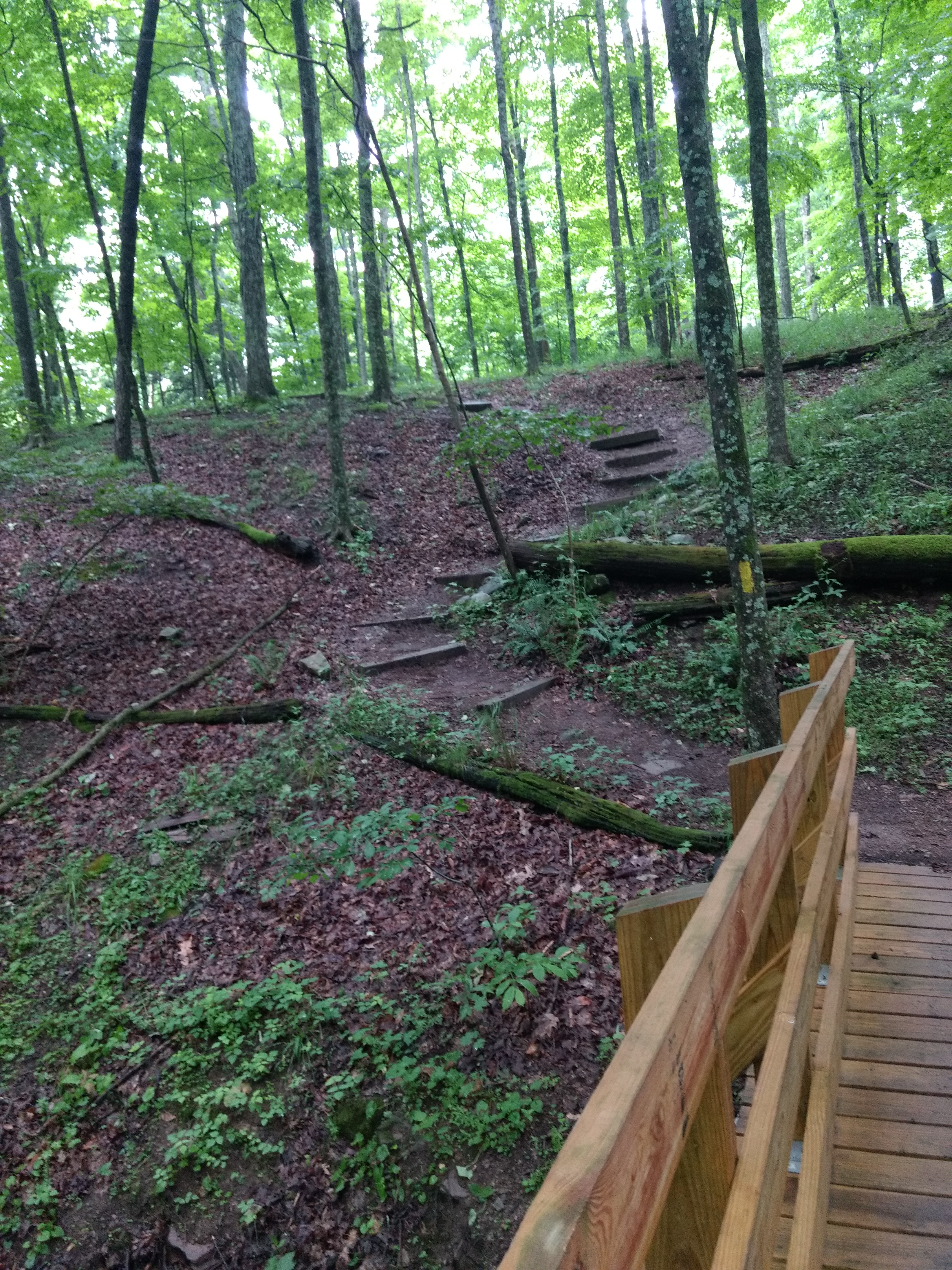 Colonel Denning Doubling Gap Nature Trail