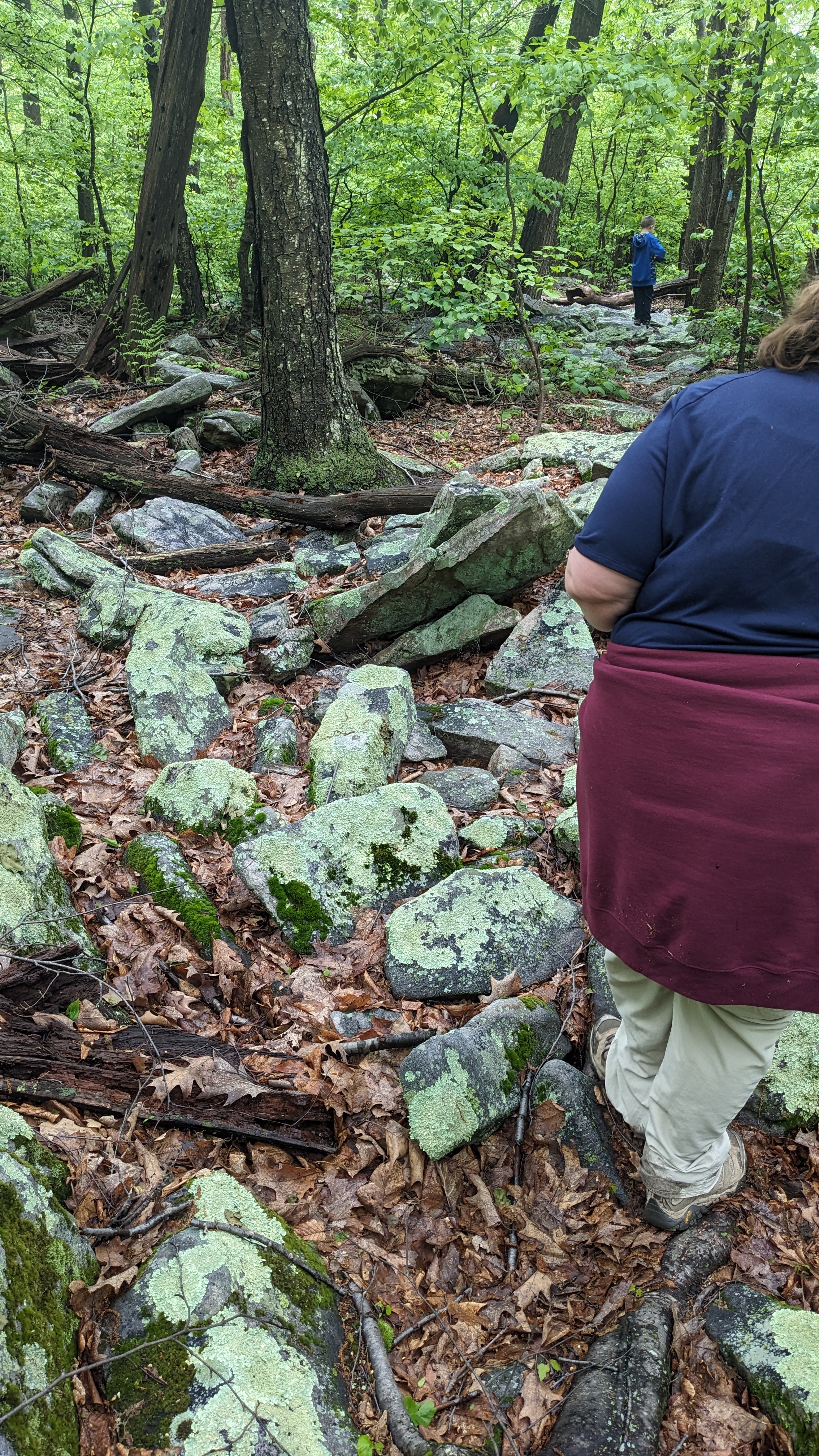 Flat Rock Trail