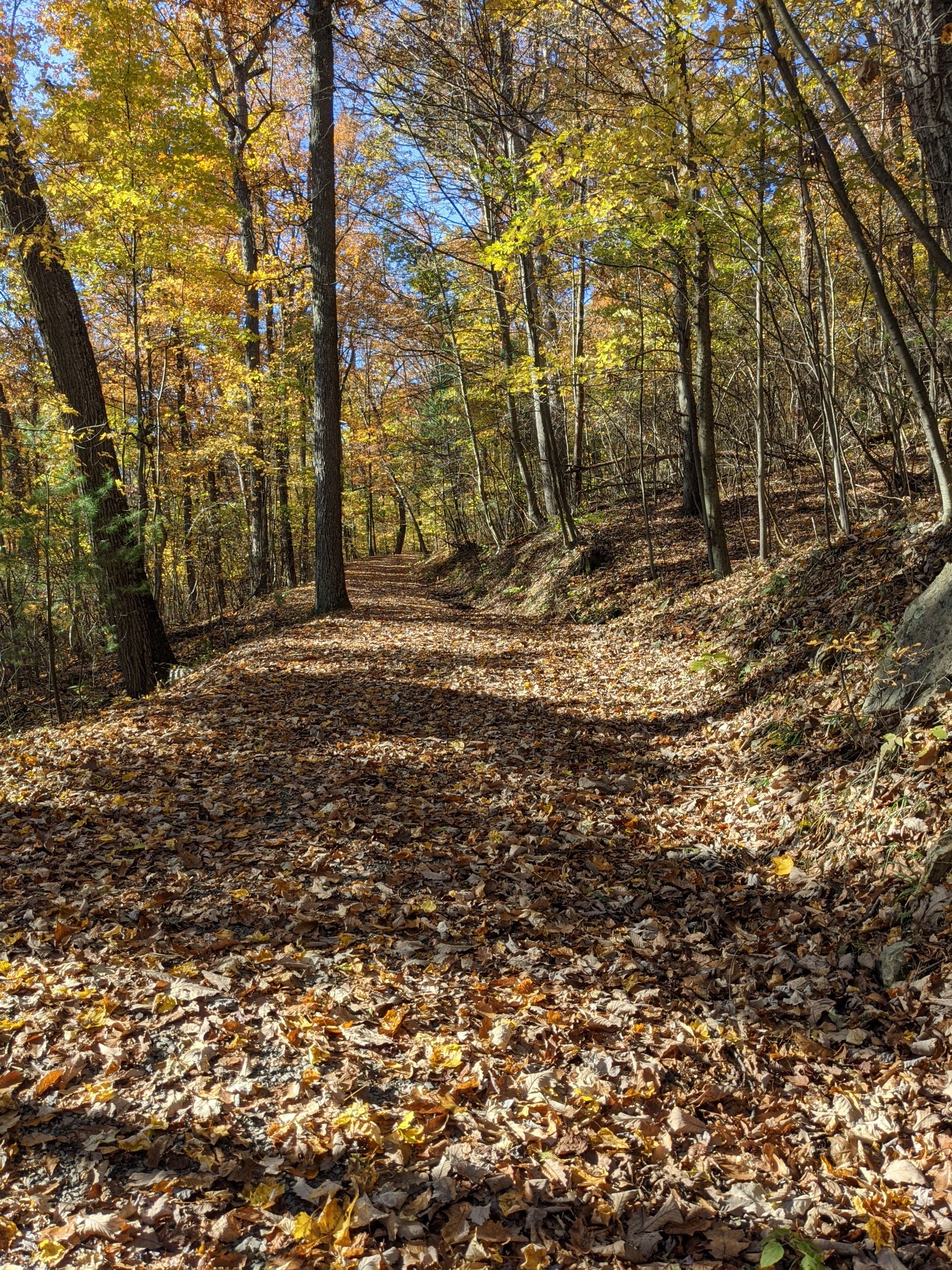 Cowans Gap Knobsville Road Trail