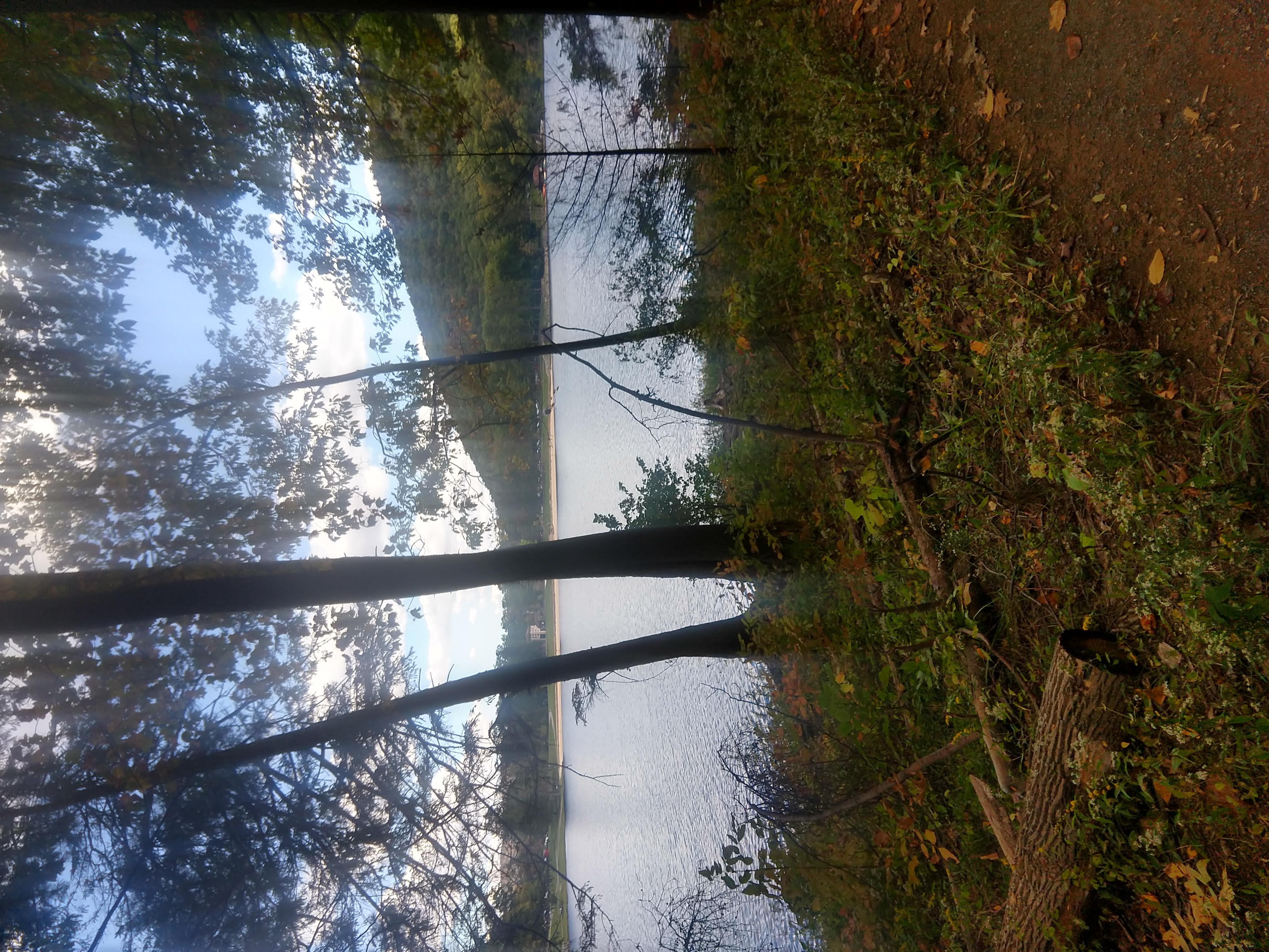 Cowans Gap Lakeside Trail