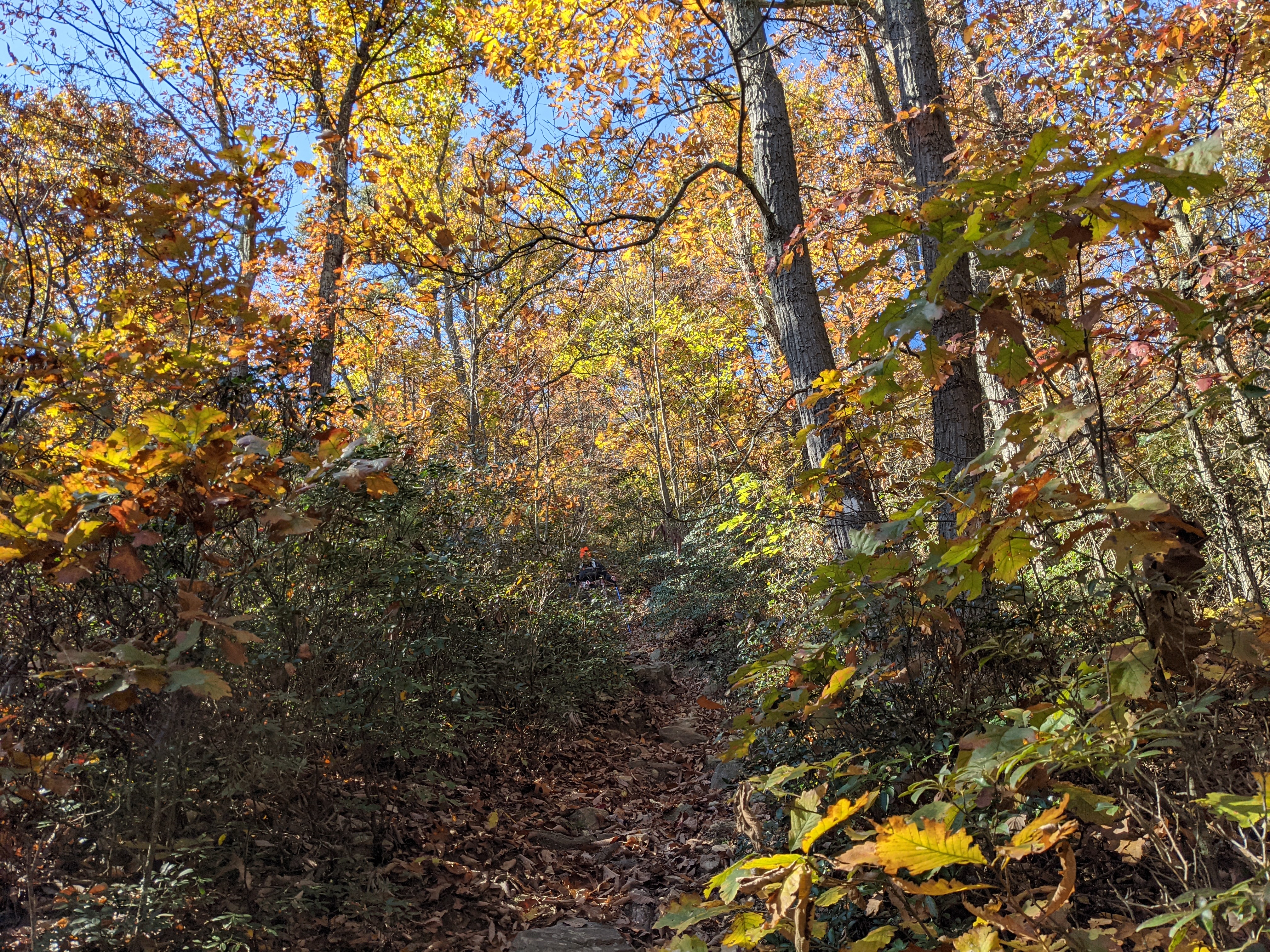 Cowans Gap Horseshoe Trail