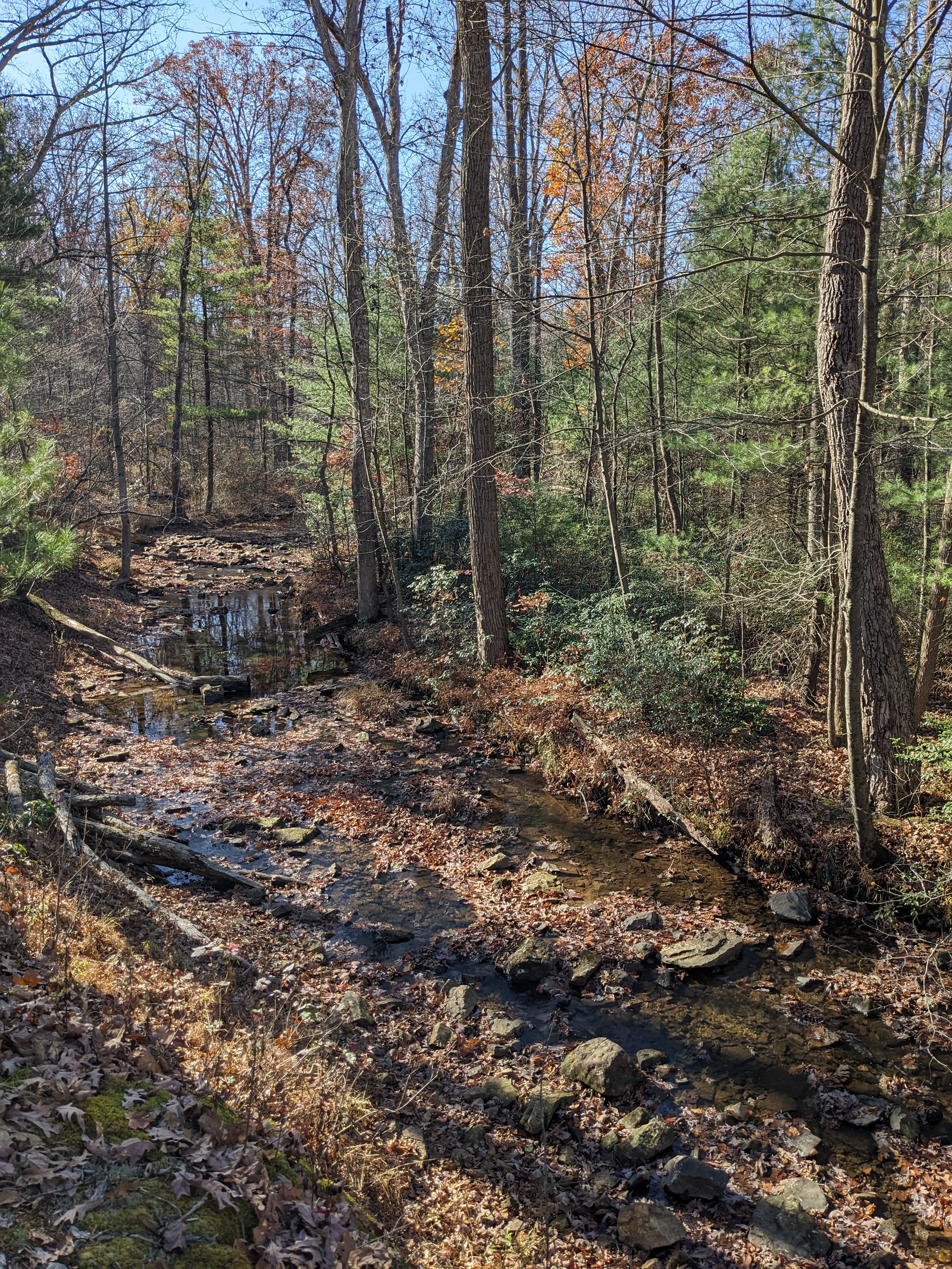 Cowans Gap Plessinger trail