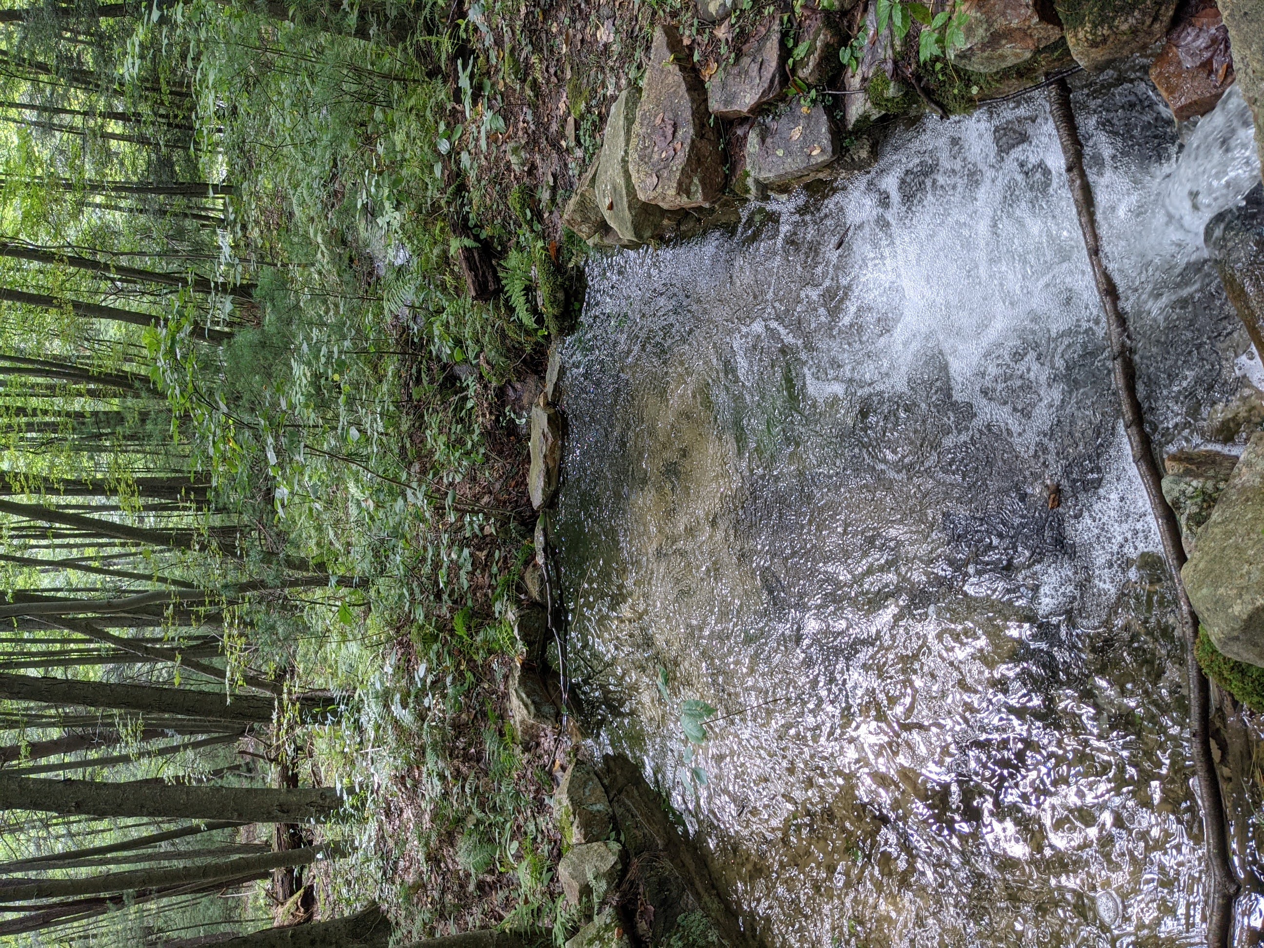 Greenwood Furnace - Springhouse remains along Chesnut Spring Trail