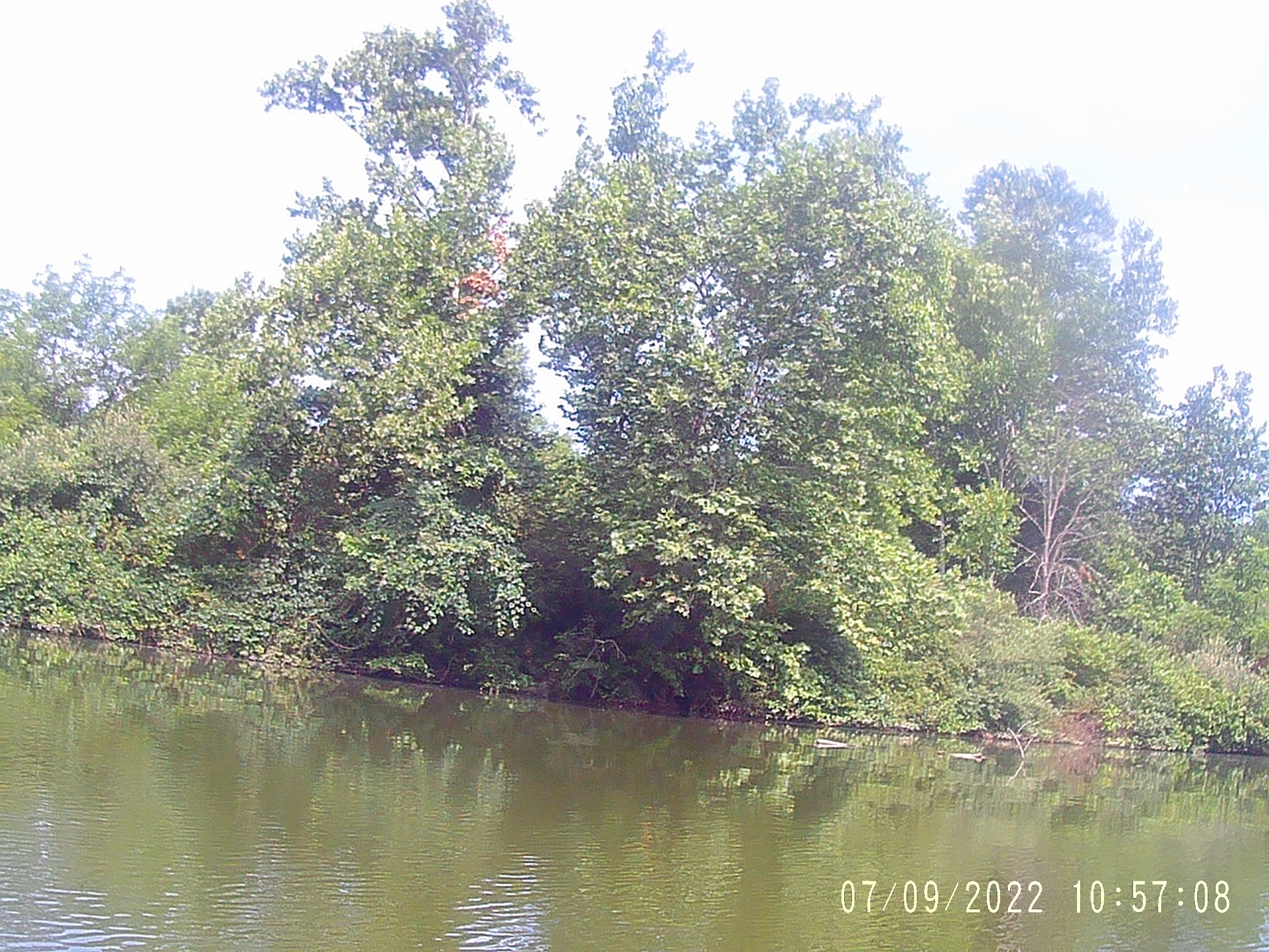 Holman Lake at Little Buffalo