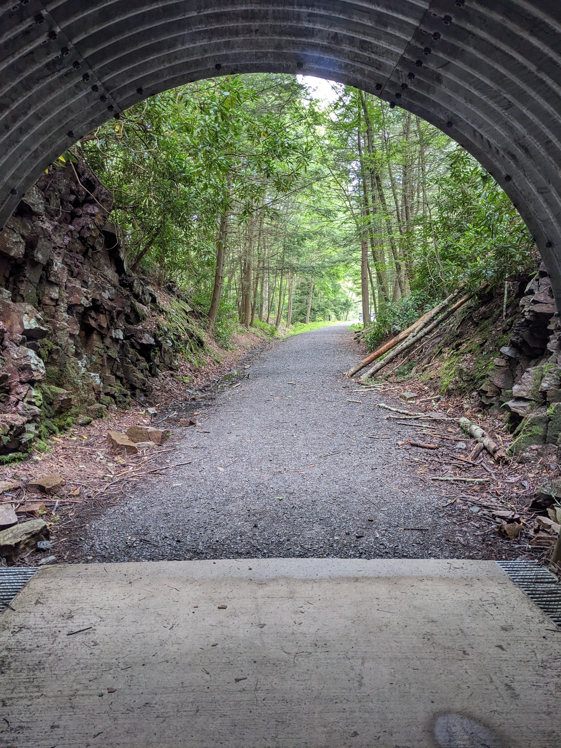 Poe_Paddy, Rail Trail