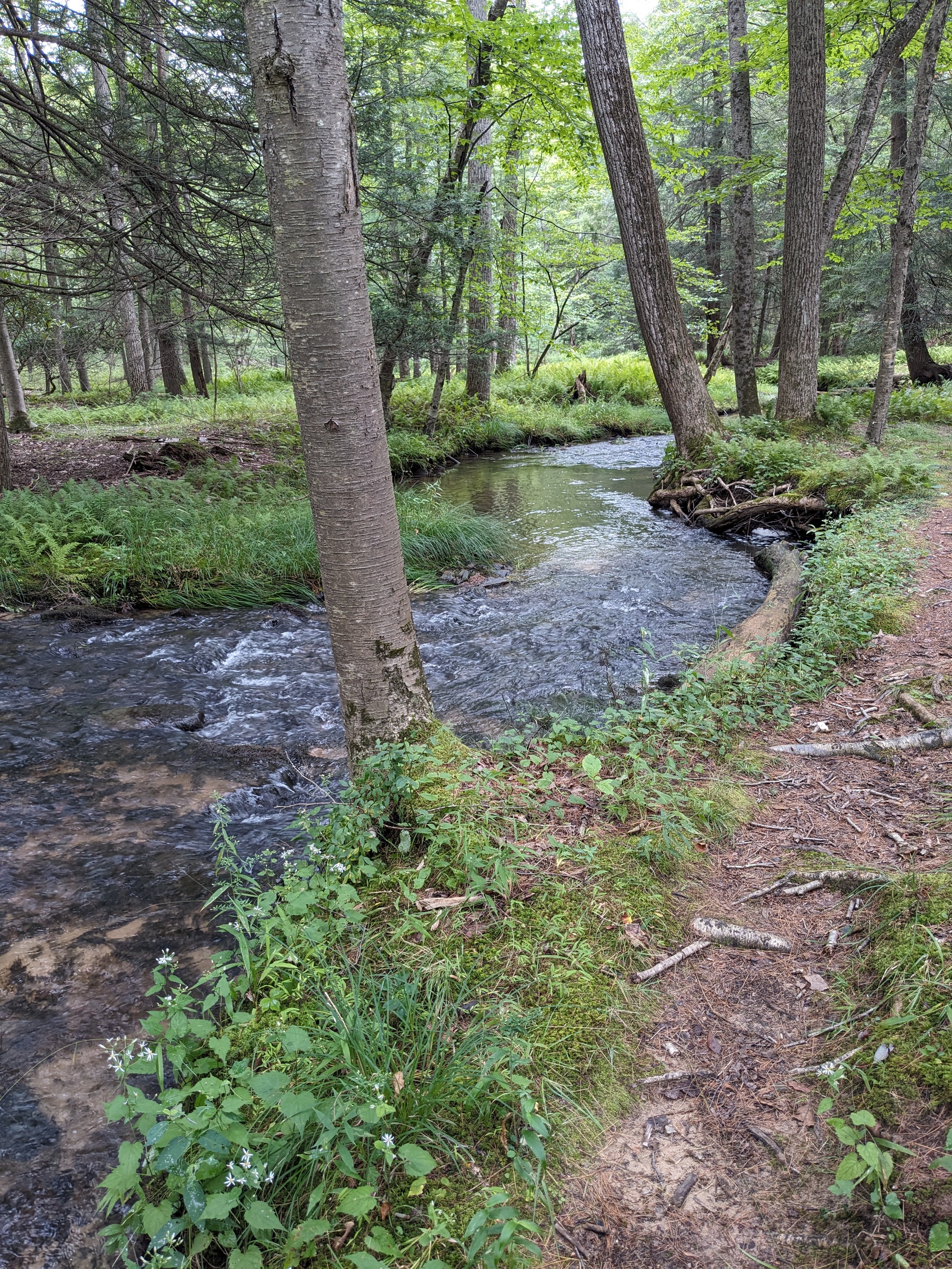 Poe Valley Nature Trail