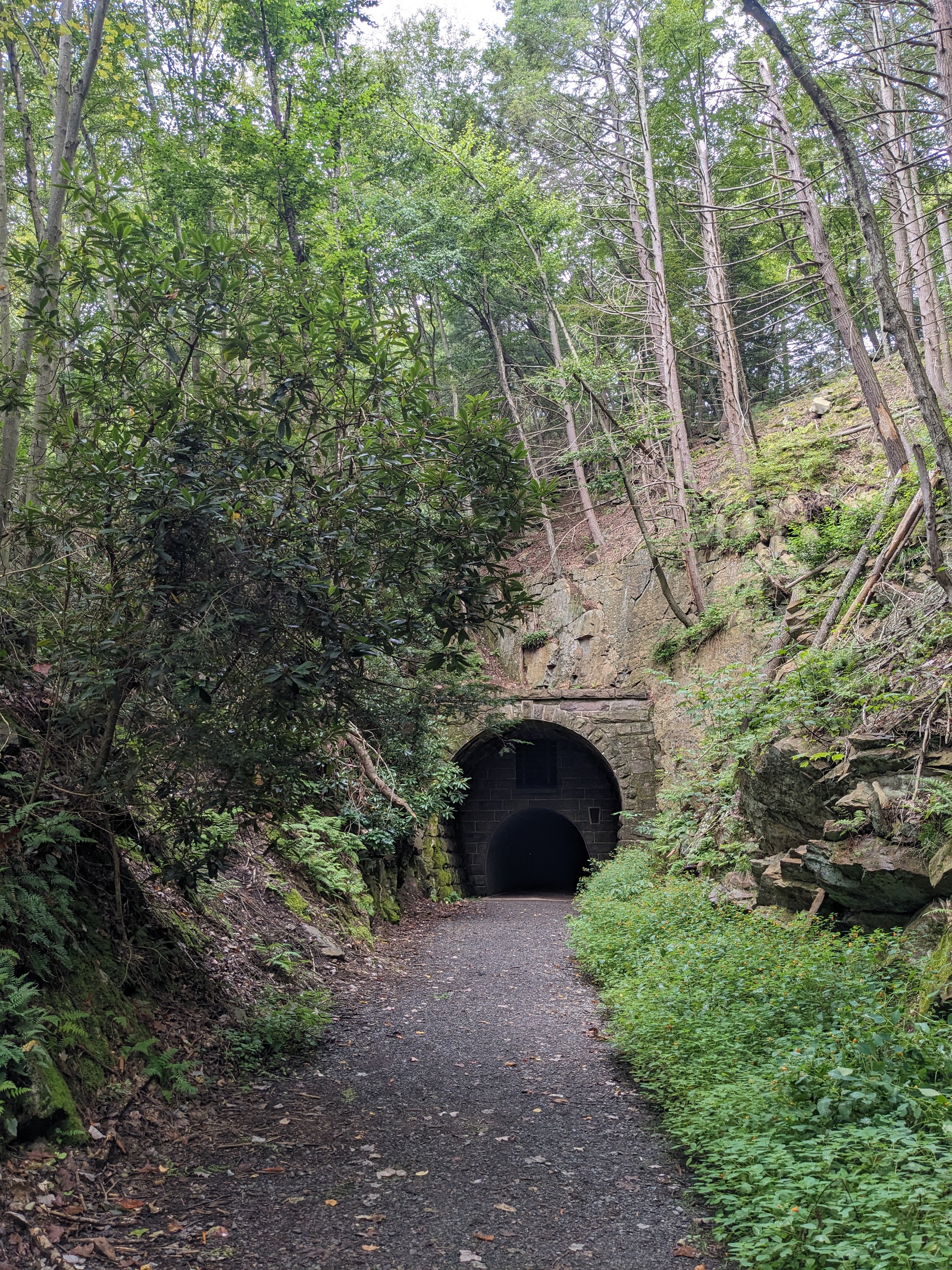 Poe Paddy Penns Creek Rail Trail