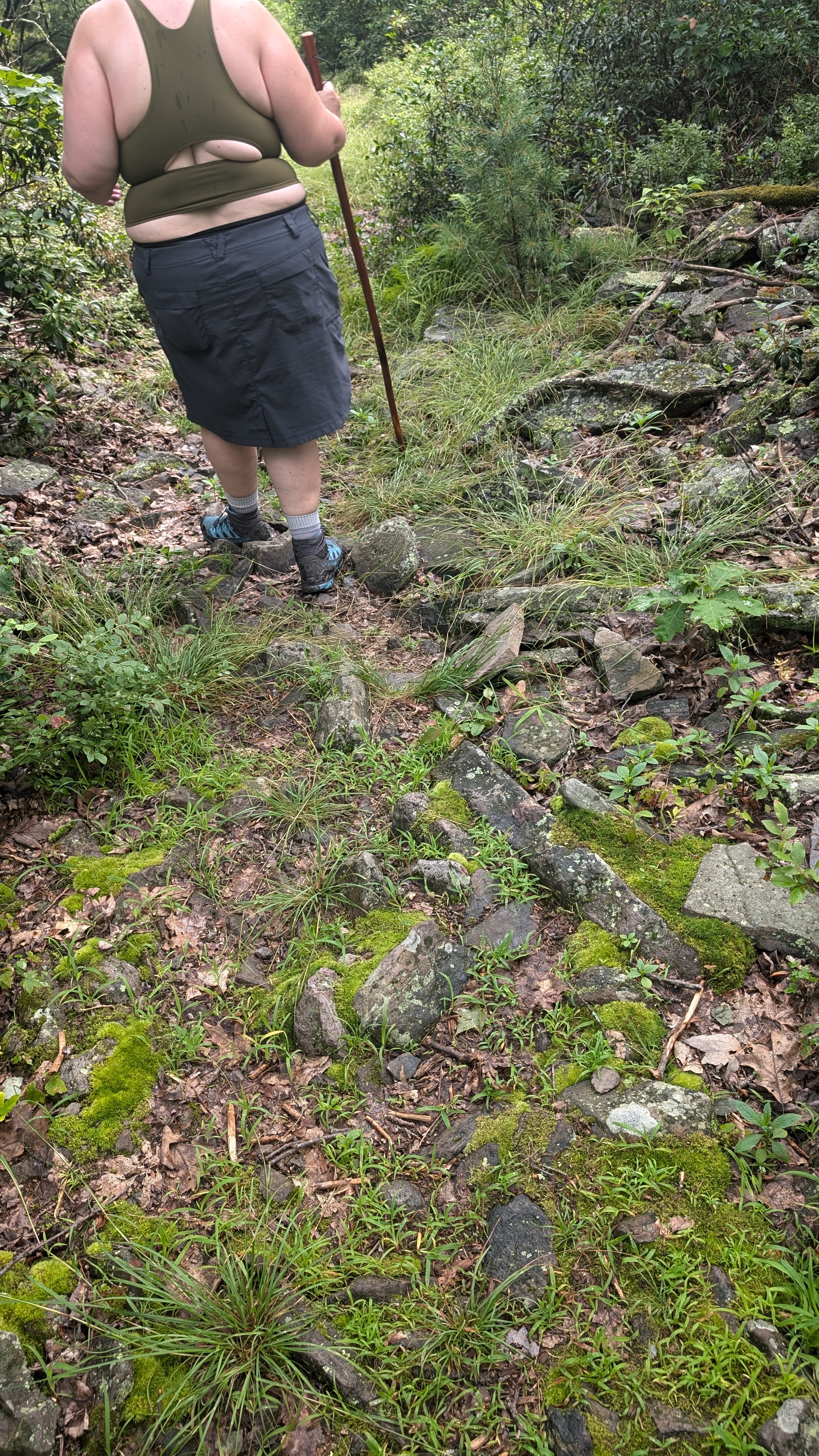 Raymond B Winter Overlook Trail