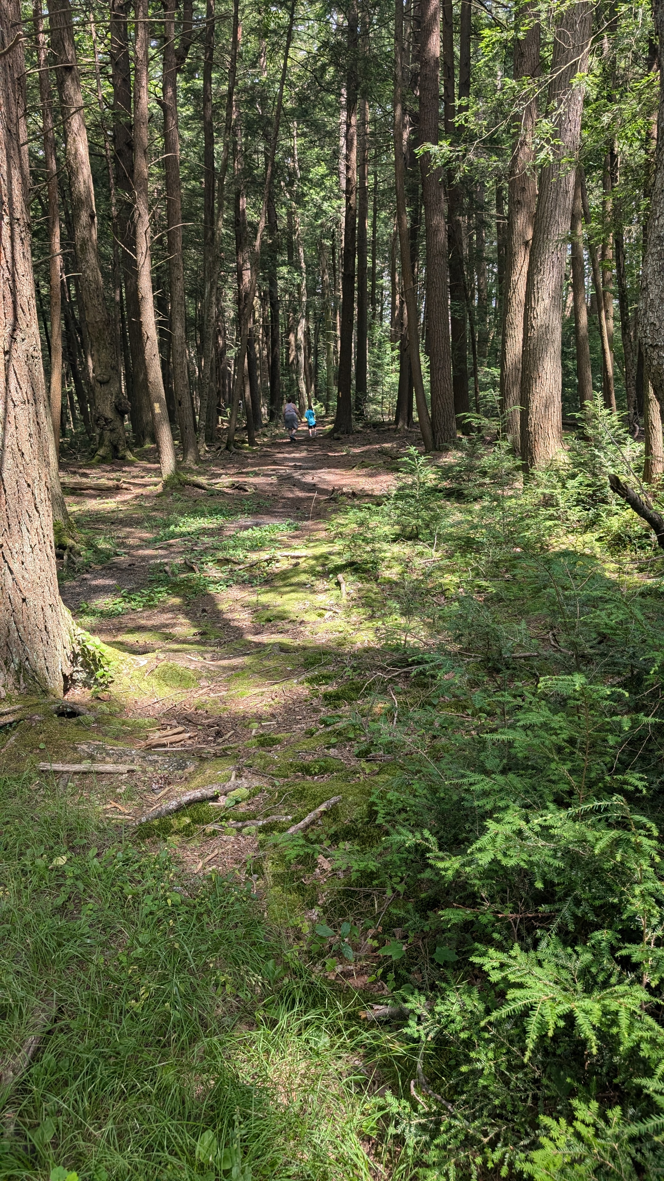 Raymond B Winter Nature Trail