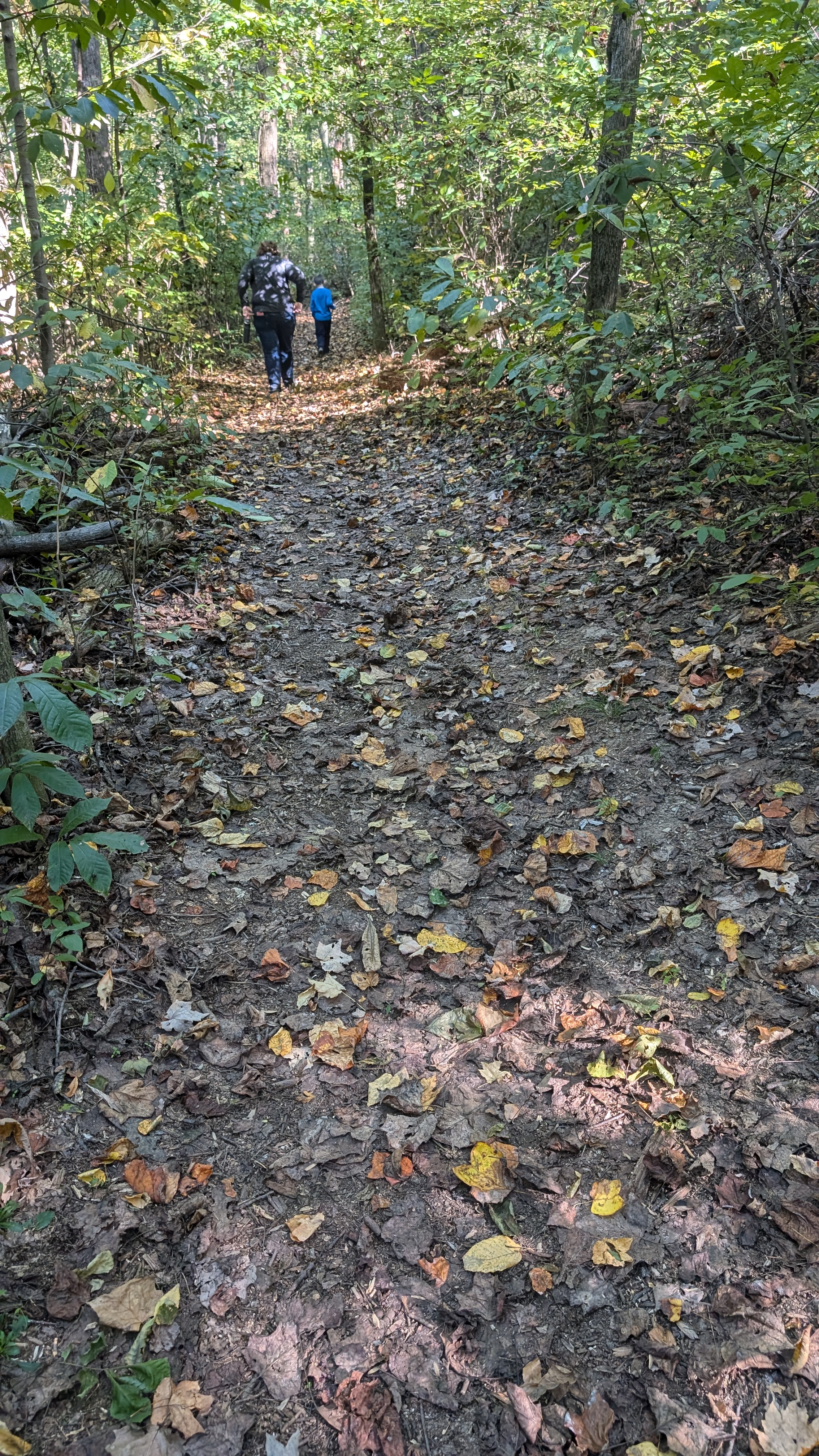 Susquehannock State Park Nature Trail