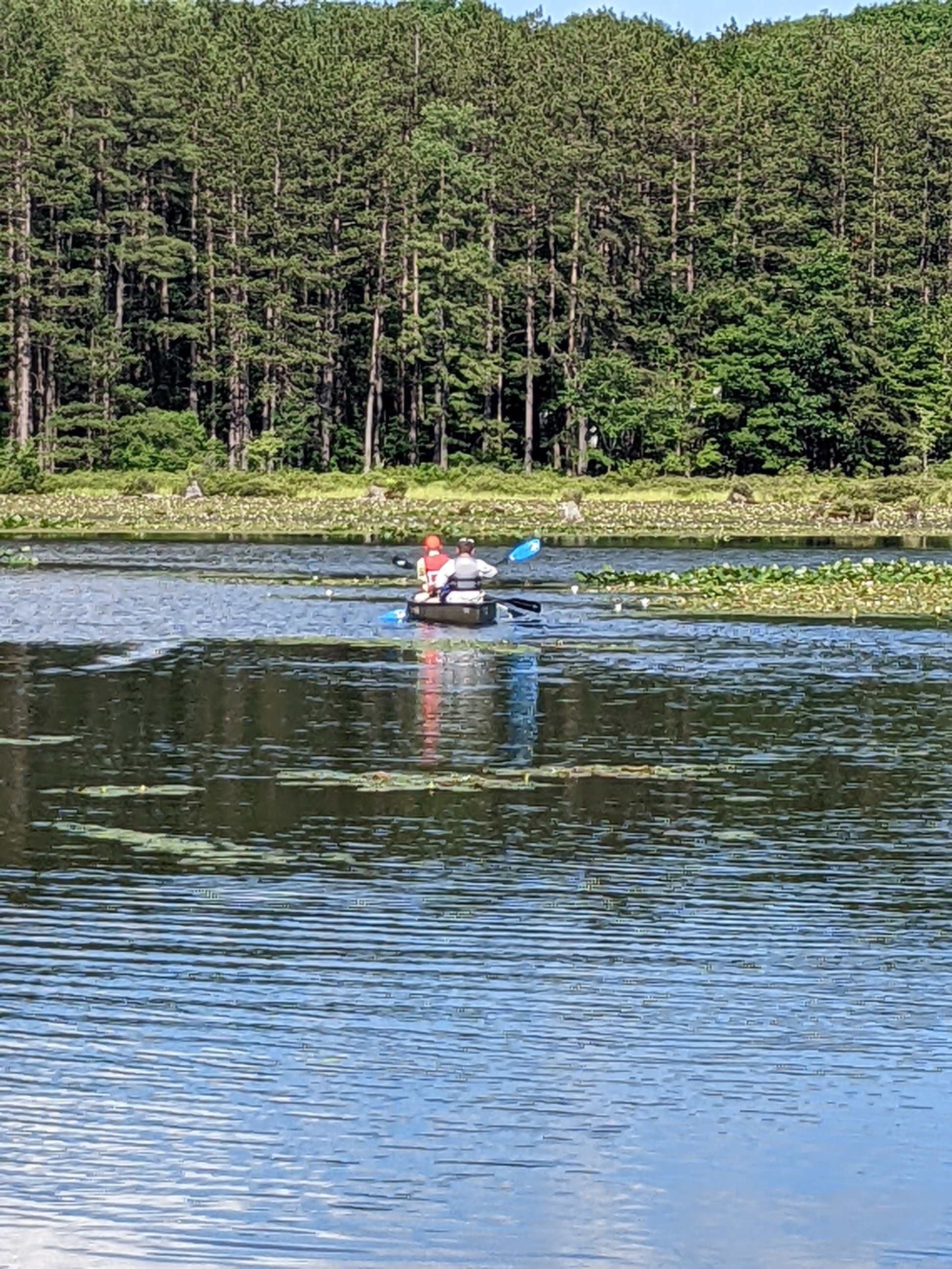 Canoeing on Black Moshannon Lake