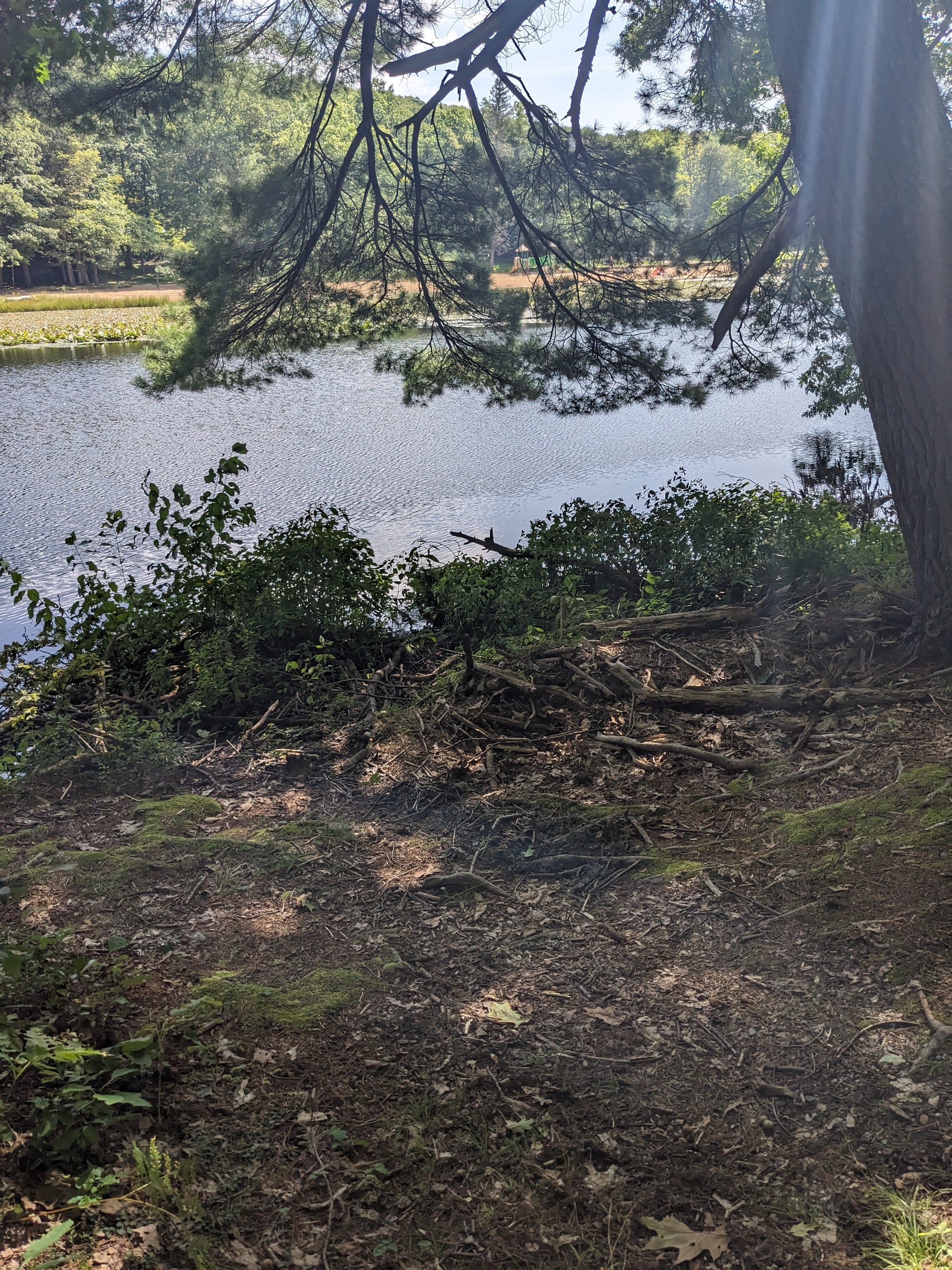 Beaver Lodge on the Lake Loop Trail