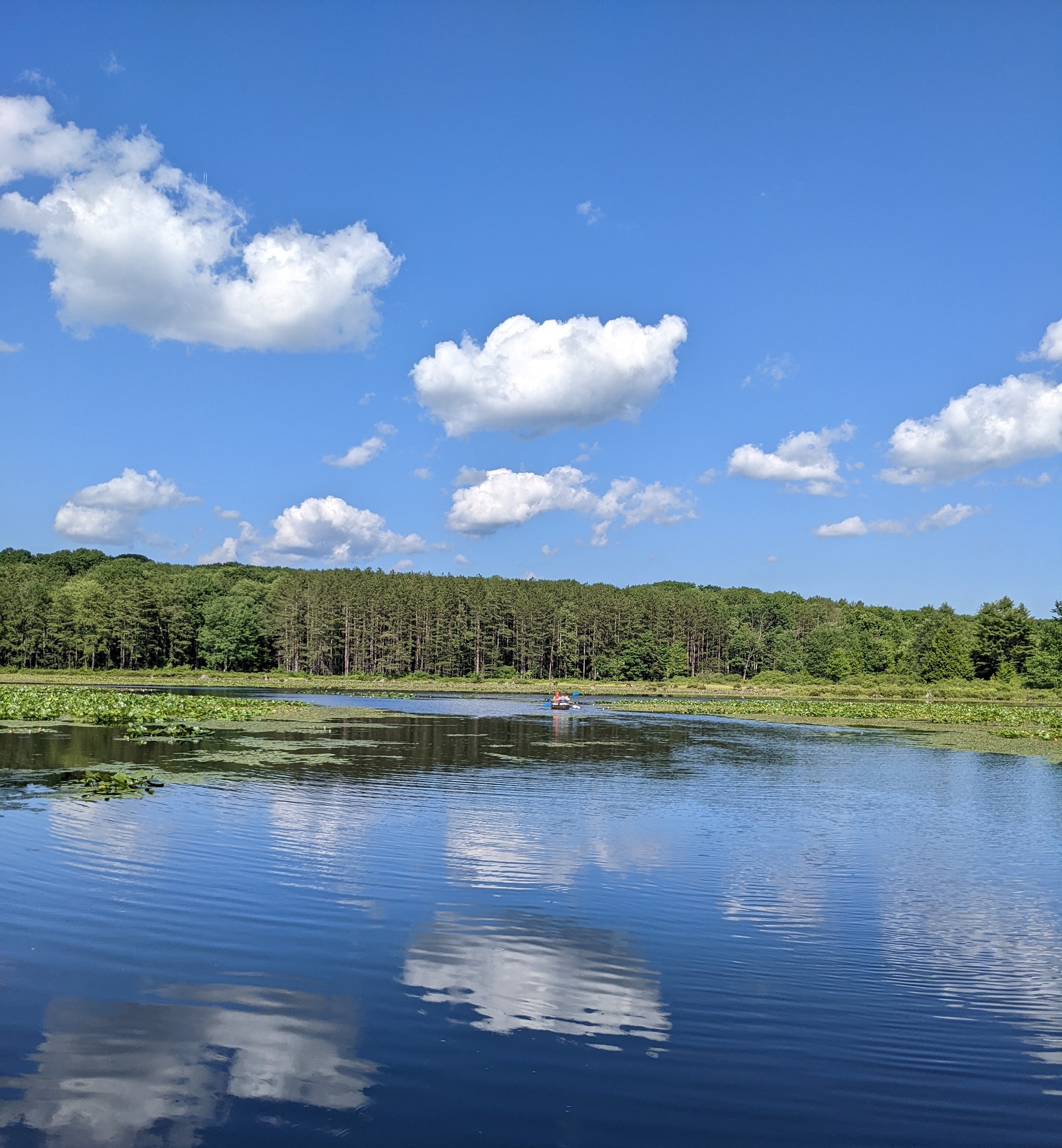 Black Moshannon Lake