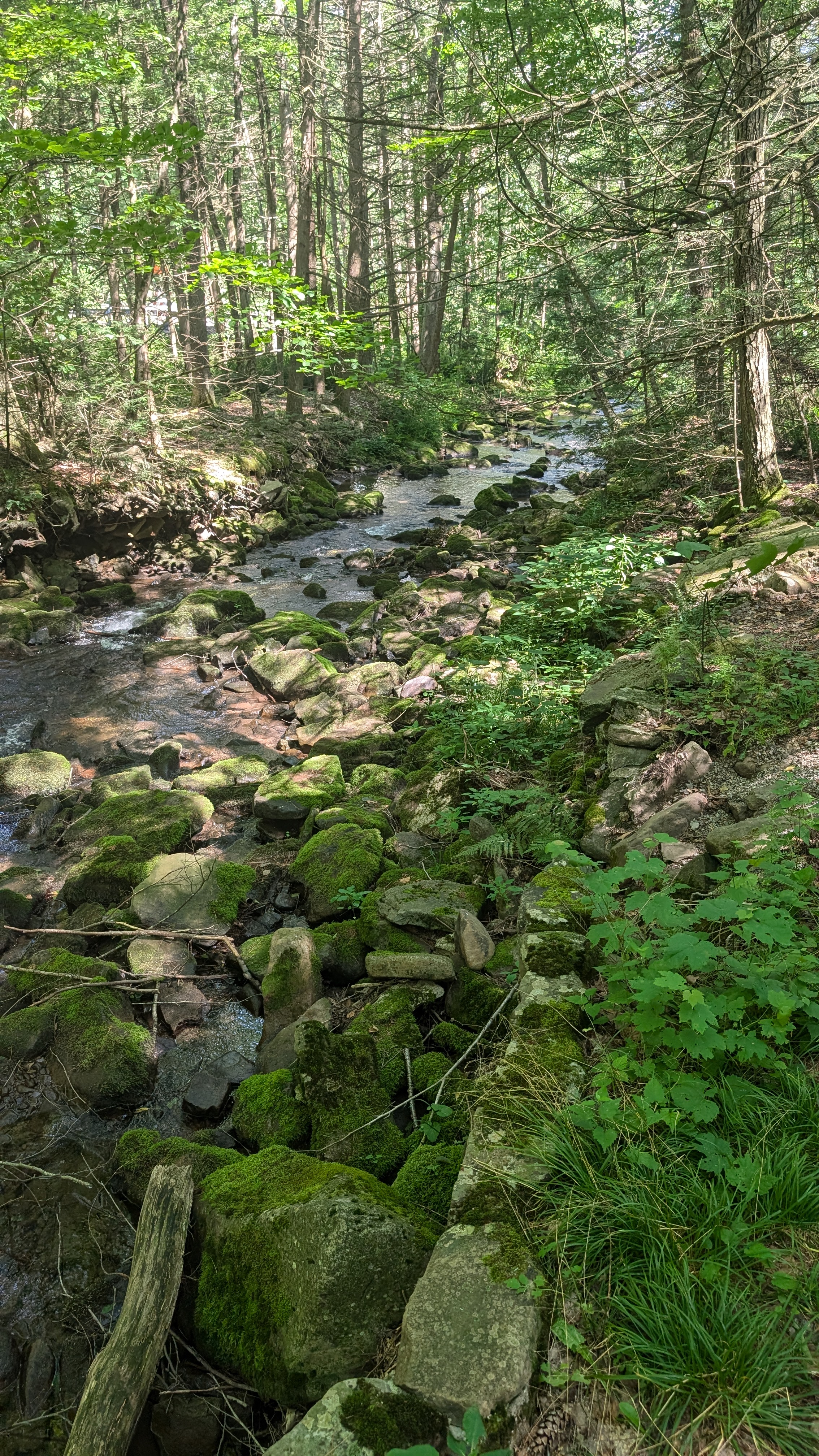 Rauchtown Run at Ravensburg State Park