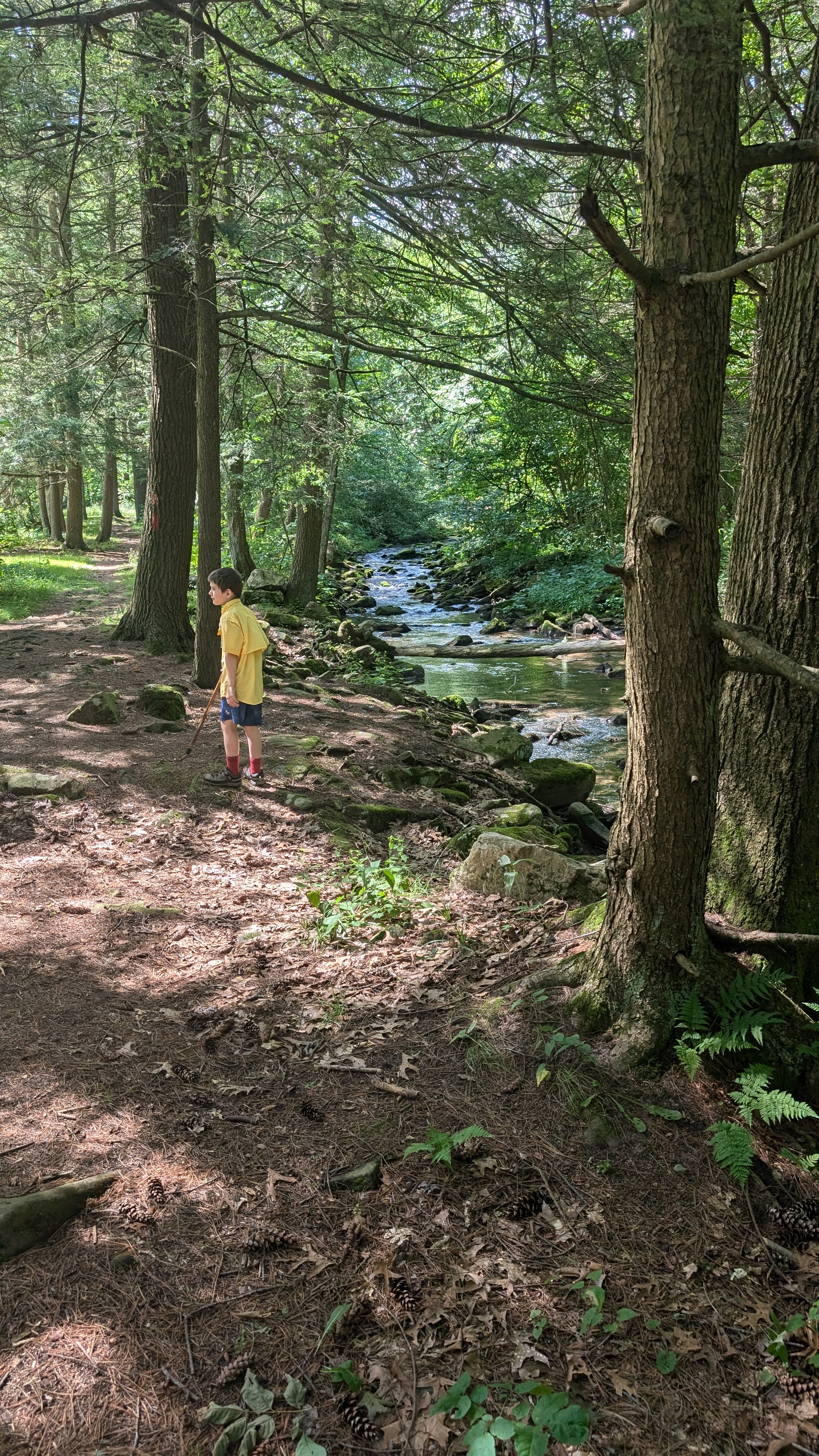 Raven Trail at Ravensburg State Park